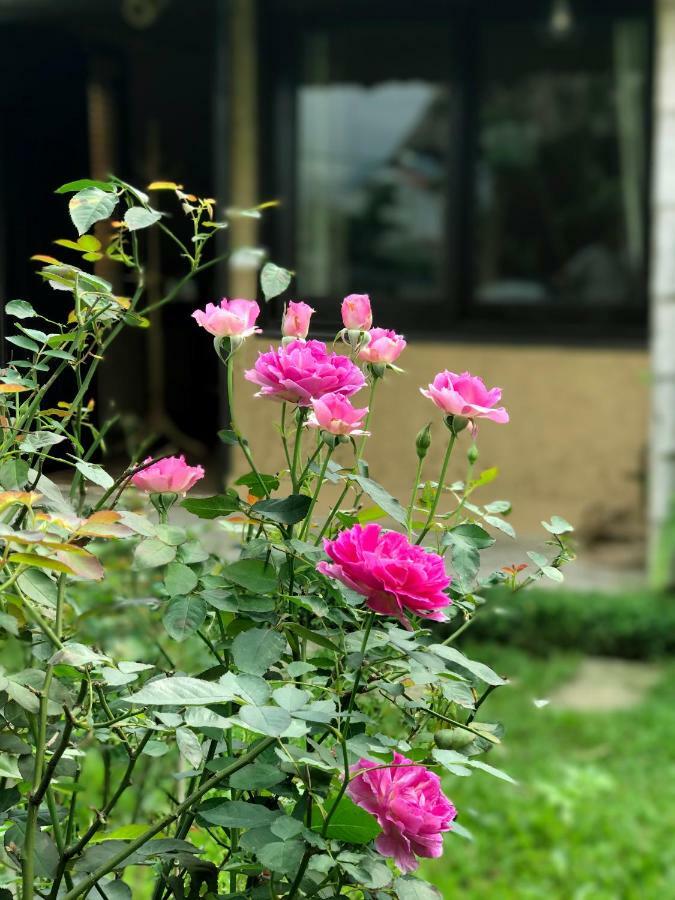 May Homestay - Tam Coc Local Village Ниньбинь Экстерьер фото
