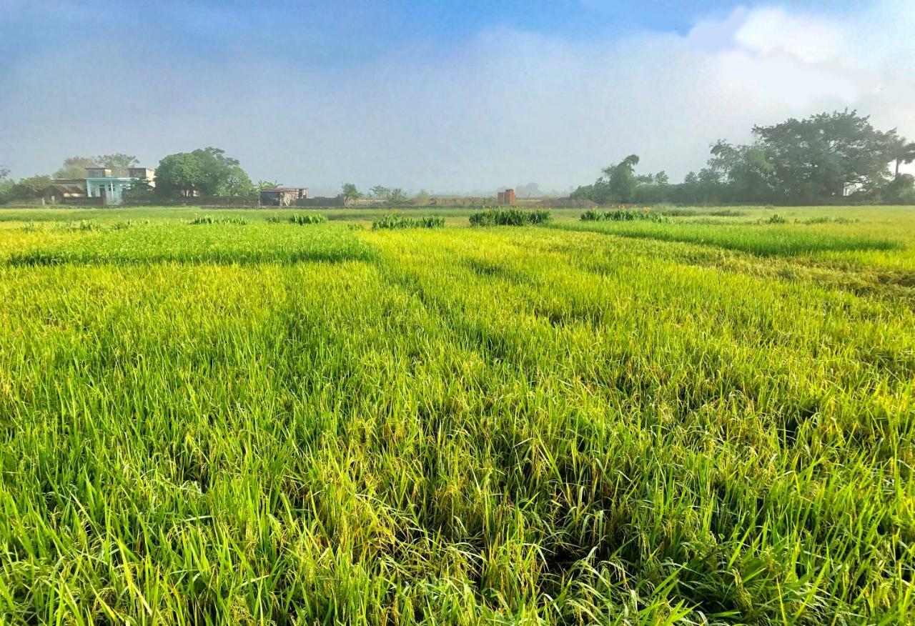 May Homestay - Tam Coc Local Village Ниньбинь Экстерьер фото