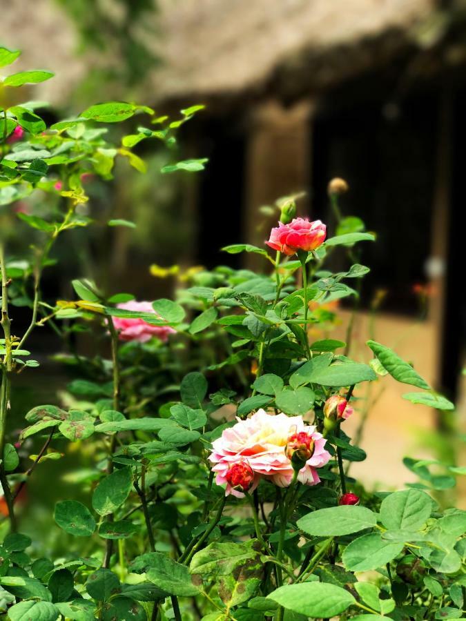 May Homestay - Tam Coc Local Village Ниньбинь Экстерьер фото