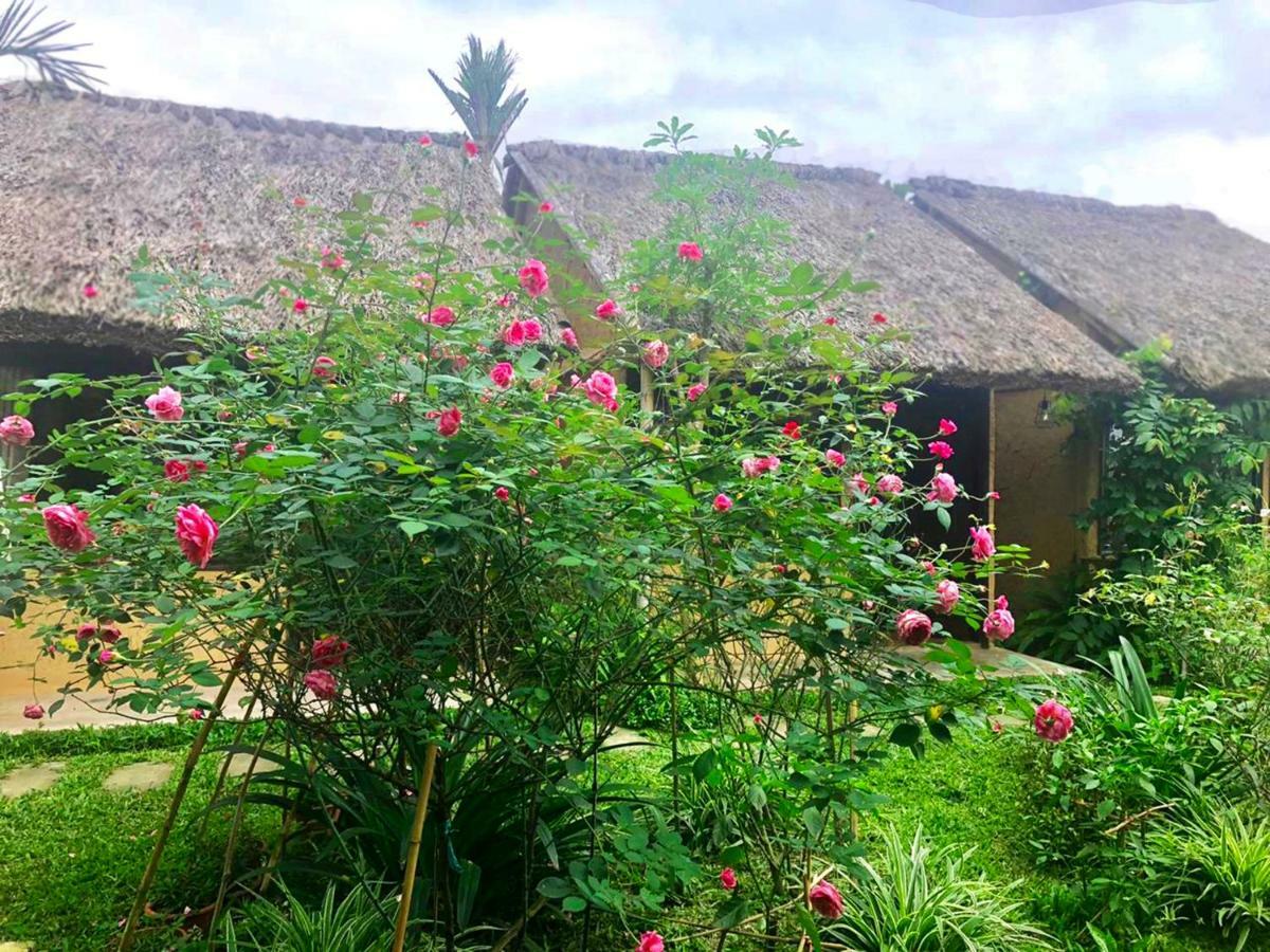 May Homestay - Tam Coc Local Village Ниньбинь Экстерьер фото